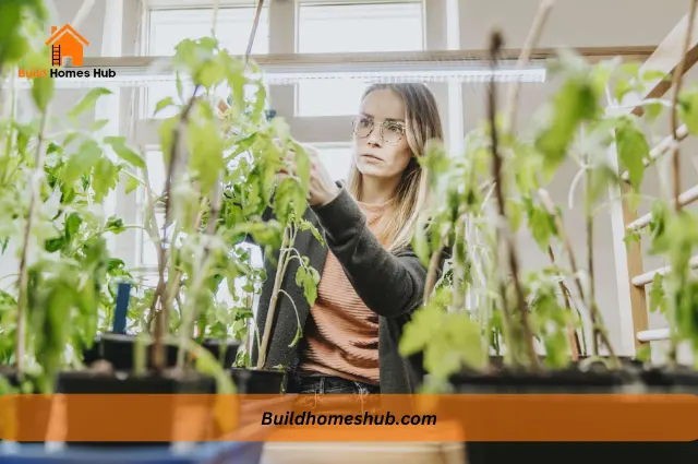 Do Ceiling Lights Help Plants?